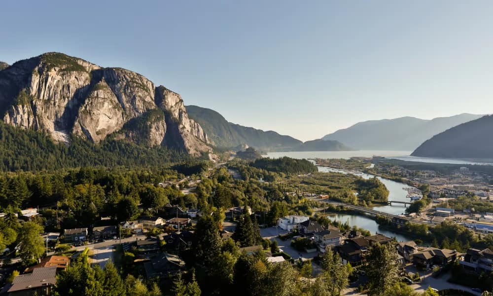 image 2024 06 08 195314549